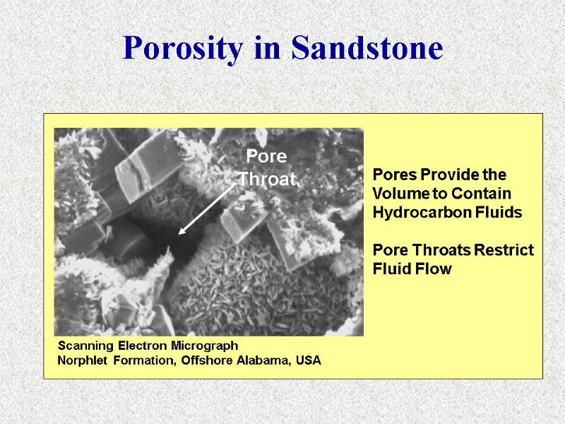 Scanning Electron Micrograph Norphlet Formation, Offshore Alabama, USA Pores Provide the Volume to Contain